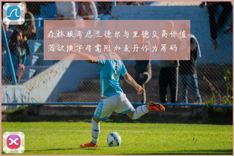 森林狼考虑兰德尔与里德交易价值若欲换字母需附加麦丹作为筹码