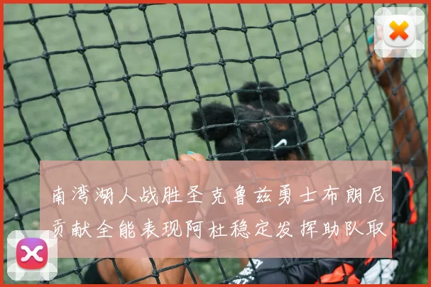 南湾湖人战胜圣克鲁兹勇士布朗尼贡献全能表现阿杜稳定发挥助队取胜