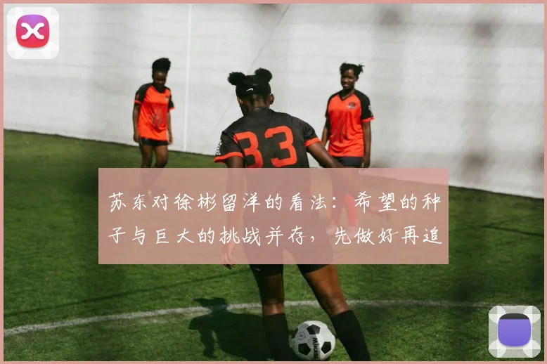 苏东对徐彬留洋的看法：希望的种子与巨大的挑战并存，先做好再追求完美