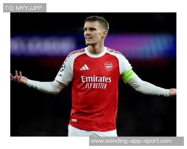 欧洲世预赛机会创造统计厄德高领衔托纳利丁丁紧随其后